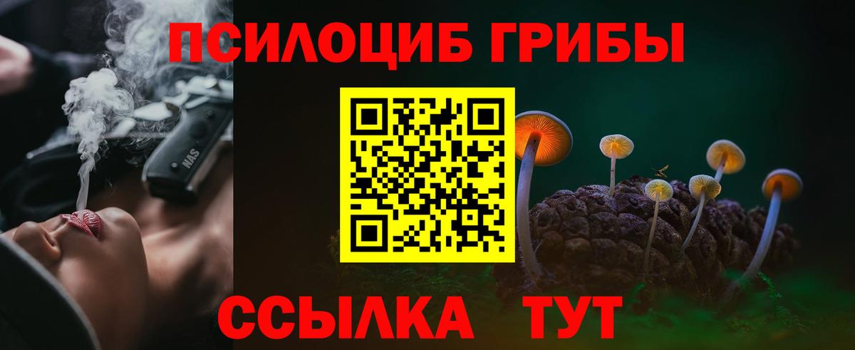 Городец  Галлюциногенные грибы GOLDEN TEACHER  цены   Вход с VPN 